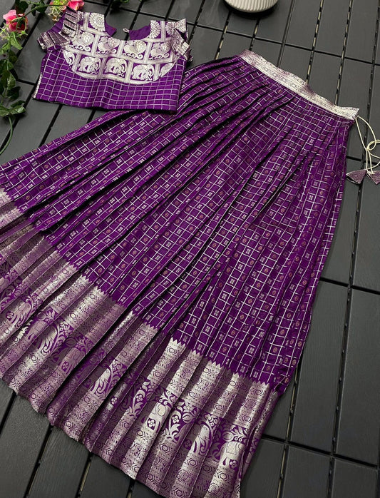 Kanchipuram Skirt & Blouse for 9 Year Old - Purple & Silver