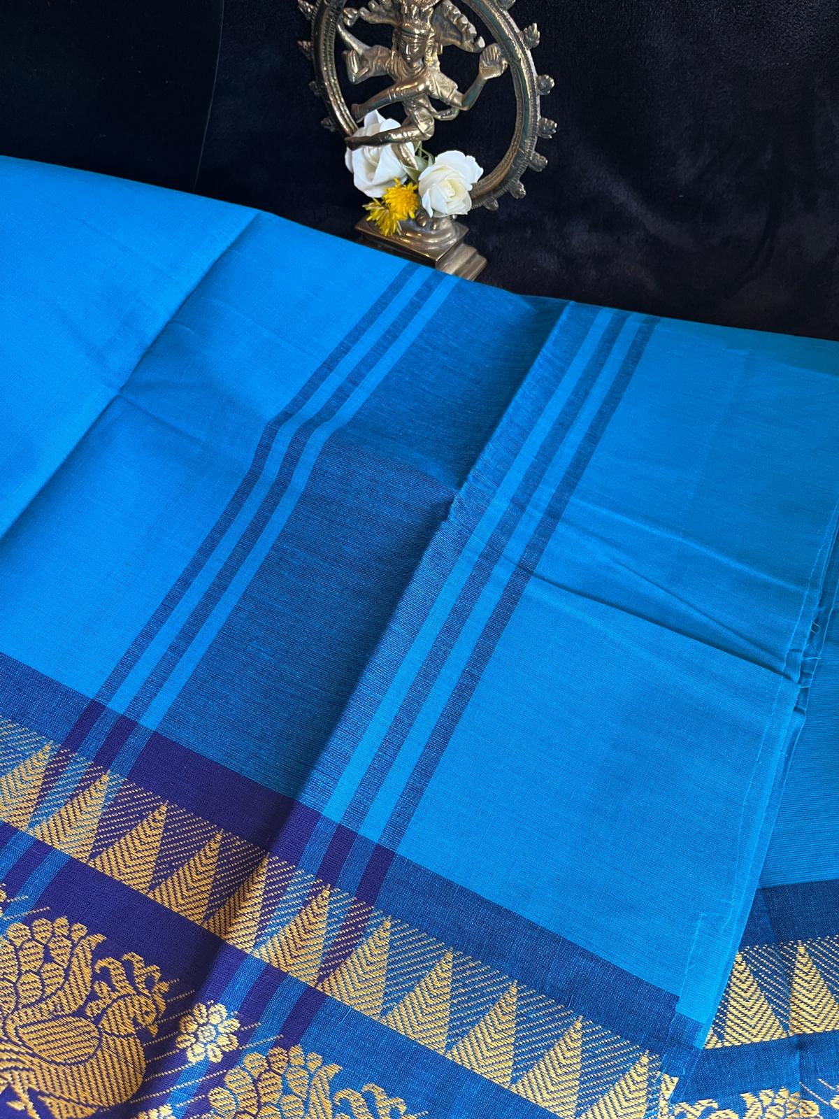 Dance Practice Saree - Light blue