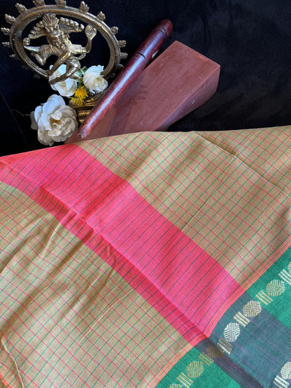 Dance Practice Saree - Green checks