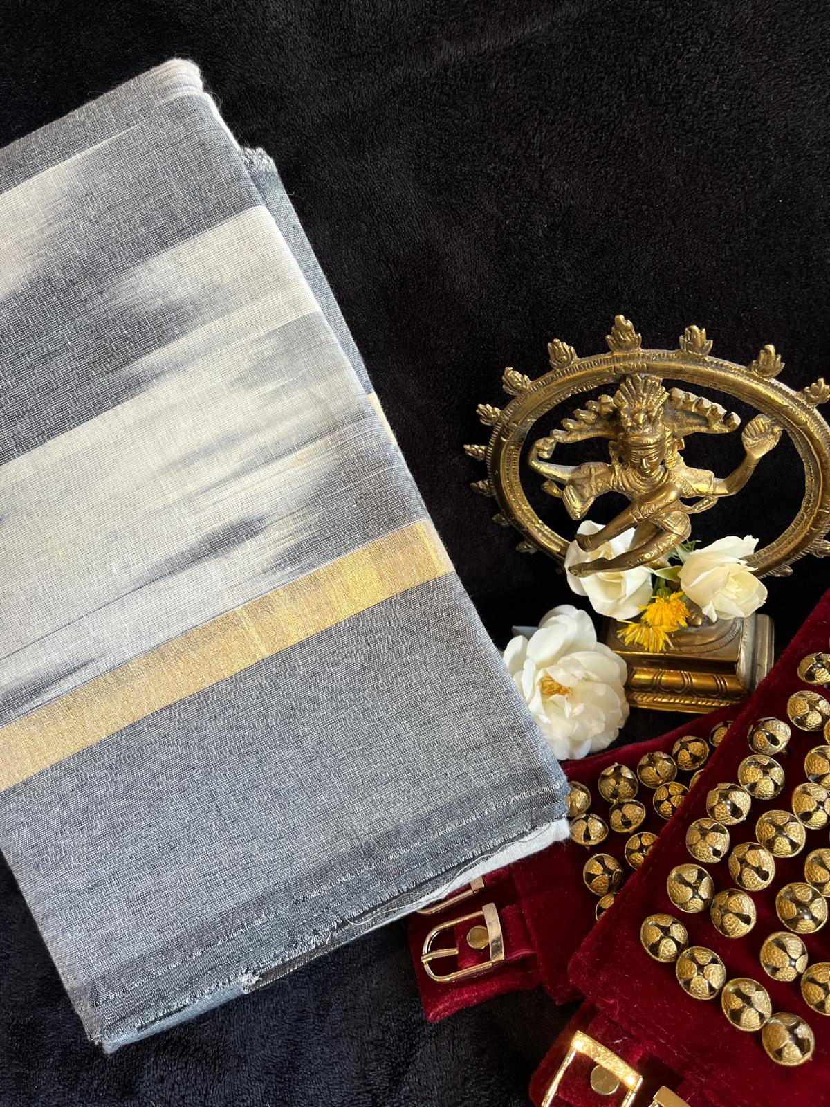 Dance Practice Saree - Grey & White Ikkat