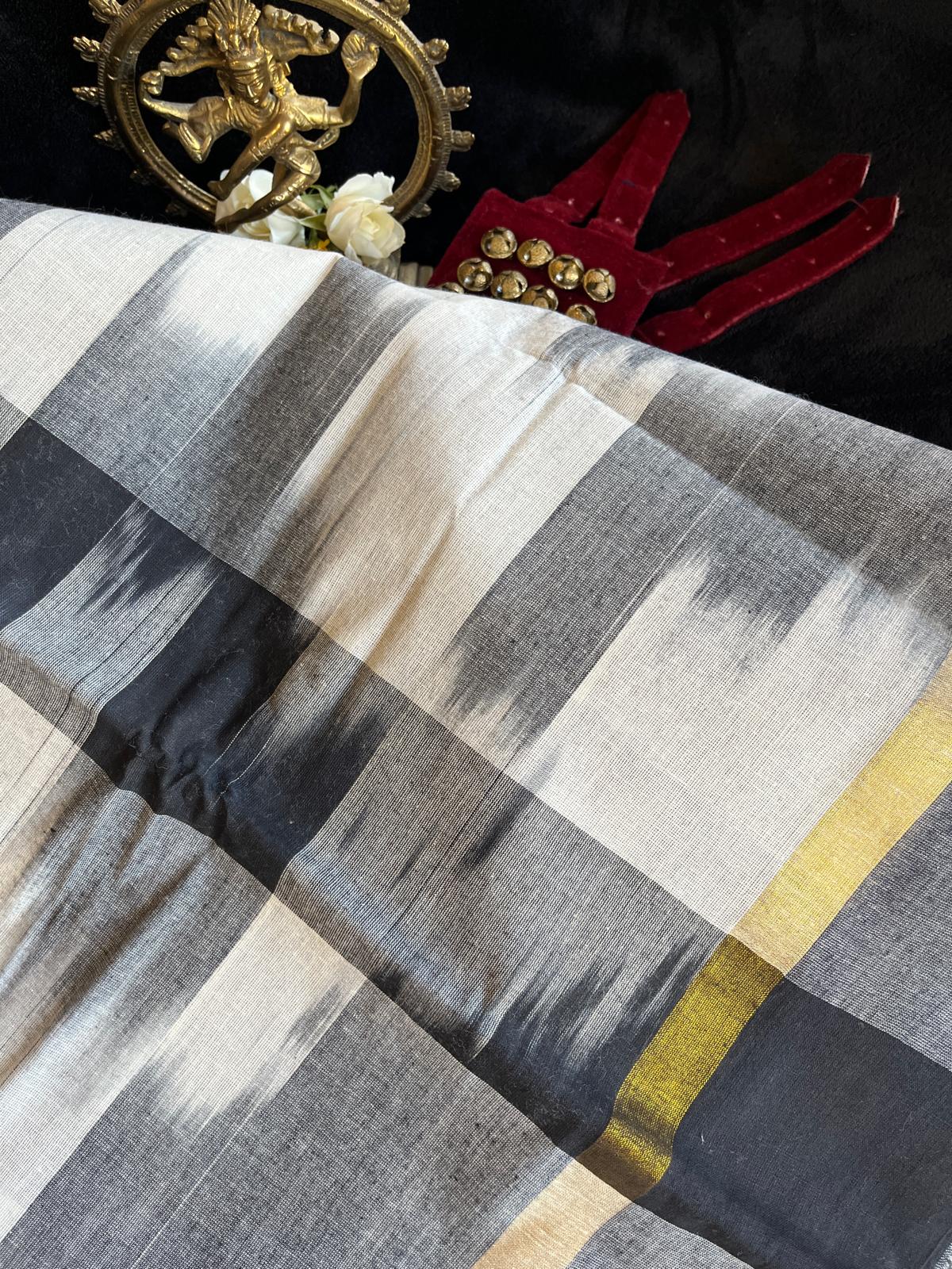 Dance Practice Saree - Grey & White Ikkat
