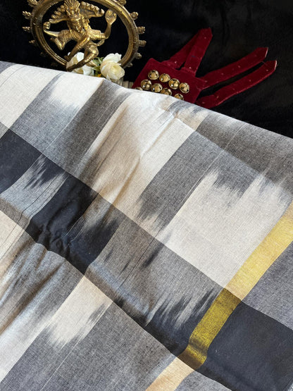 Dance Practice Saree - Grey & White Ikkat
